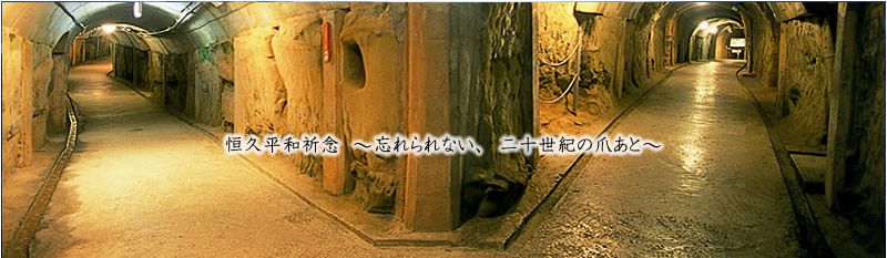 �P�v���a�F�O�@�`�Y����Ȃ��A��\���I�̒܂��Ɓ`